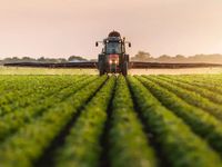 Agriculture Equities Still Worth Considering