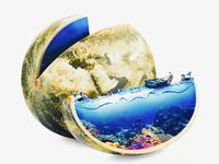 Grab a Slice of This ETF for Climate Transition Leaders