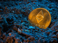 Ethereum's Long-Term Allure Is Evident