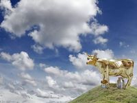 Pacer’s Cash Cows Milk $6 Billion From Its Investors