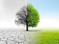 Data Mounts For Escalating Climate Change Battle