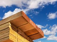 Lumber Prices Plunge After Early Pandemic Boom