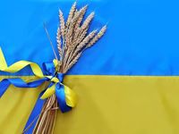 Russia-Ukraine Conflict Puts Strain on Food Supply