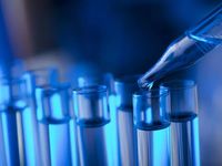 Basic Might Be Beautiful When Biotech Bounces Back