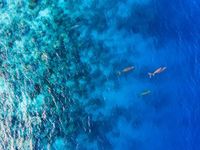 Newday’s AHOY Invests in Health of Ocean