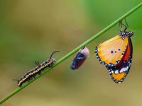 JPMorgan Converts Enhanced Equity Fund Into ETF