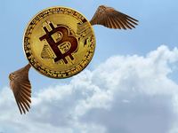 Binance Cofounder Not Worried About Bitcoin Sell-Off