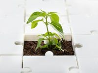 IQSU: Simple but Different Approach to ESG