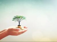 Investment Managers Remain Enthusiastic About ESG