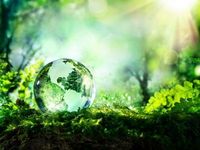 ESG, Emerging Markets Might Be Potent Combination
