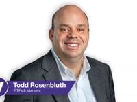 Cyber ETFs Popular as Advisors Think Long-Term