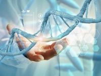 Biotech Stocks, ETFs Due for Second Half Rallies