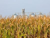 As Commodities Slip, Here Are 2 ETF Options to Consider