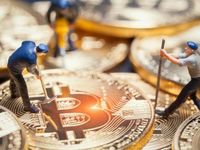 Grasping Bitcoin Miners' Cyclicality