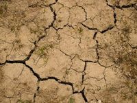 Cracks are Forming in High Yield