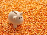 Teucrim's CIO Sal Gilbertie Gives State of Commodities
