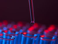 SBIO Rises on Biotech’s Sustained Rebound