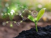 ESG Resonates With Young Investors
