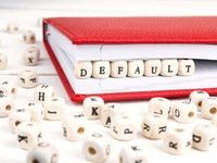 It’s Not Your Default: FLHY Remains Compelling