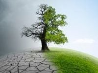 White House Climate Action Could Propel CNRG