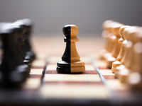 Consider the Merger Fund for Reduced Volatility