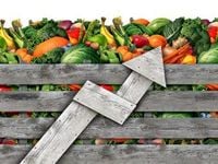 Food Prices Are Starting to Ease, but Are Still High