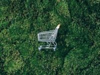 ESG Discounts Accessible With Wide Moat Traits