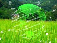 Streamline ESG Allocations Using QQMG