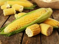 Inflation Reduction Act Could Lift Corn Prices