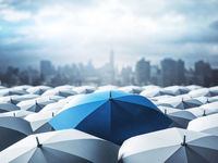 What Do Weather and Markets Have in Common?