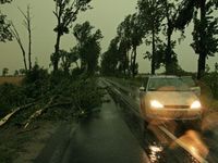 Active Management Can Navigate Headwinds