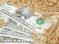 Invesco Expands Commodities Suite With PDBA