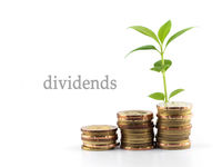 Dividend Growth Remains Important