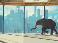 Concentrated Positions: The Elephant In The Room