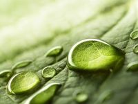 Transparency Matters With ESG ETFs