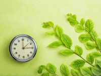Play the Climate Investing Long Game With CLNR