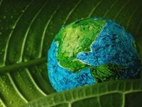 Sidestep ESG Ratings Confusion with QQMG