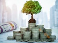 The Case for Value Investing as Markets Bounce Off Lows