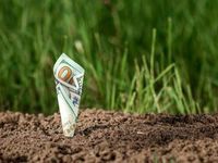 PFM Has Dependable Dividend Growth