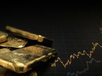 Bi-Weekly Asset Allocation – The Gold Paradox