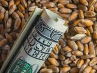 Hedge Funds Focused on Commodities Doing Well