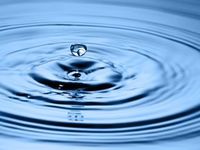 Infaltion's Ripple Effects