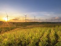 Alternative Investments Audience Growing