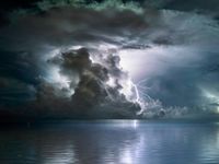 Weathering a Volatile Market