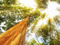 Navigating Near-Term Risk as the Outlook Gets Brighter