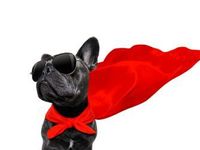 Buoyed by Possible Earnings, SDOG Outperforms S&P 500
