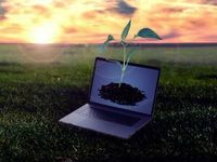 ARKW Combines Low-Vol Bitcoin With Growth Tech