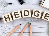 Strong Dollar Shines on HEDJ and DXJ