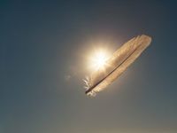 Spreads Might Indicate Fallen Angel Opportunity