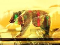 Bearish Sentiment Powers Market Rally